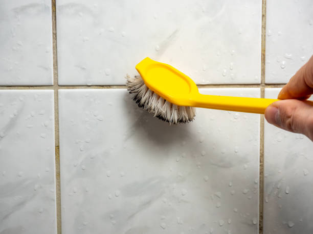 Best Professional Mold Removal  in Wilmington, OH