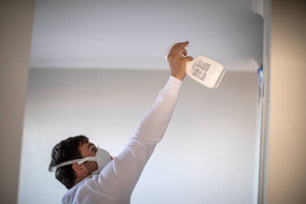 Best Mold Removal Company Near Me  in Wilmington, OH