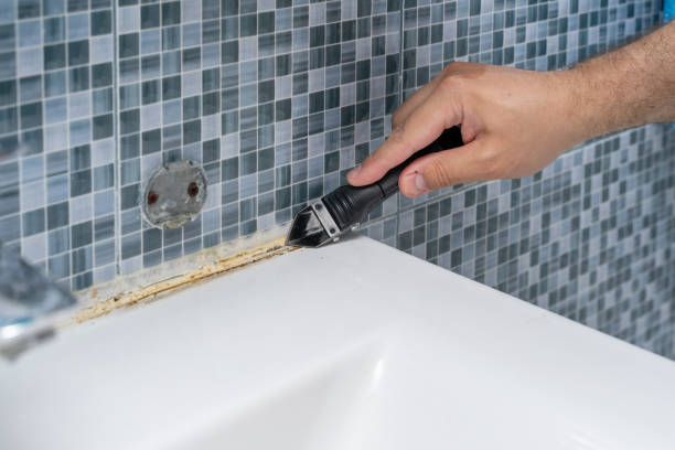 Best Mold Damage Repair  in Wilmington, OH